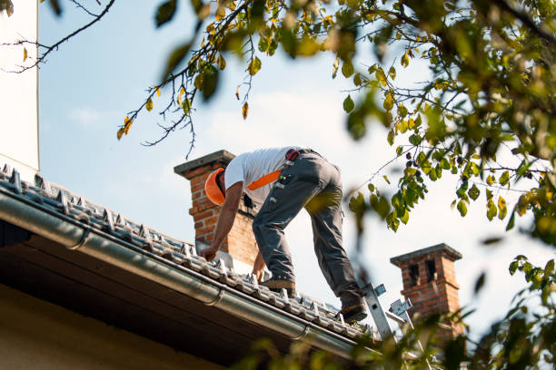 Roof Installation Near Me in Wheelersburg, OH